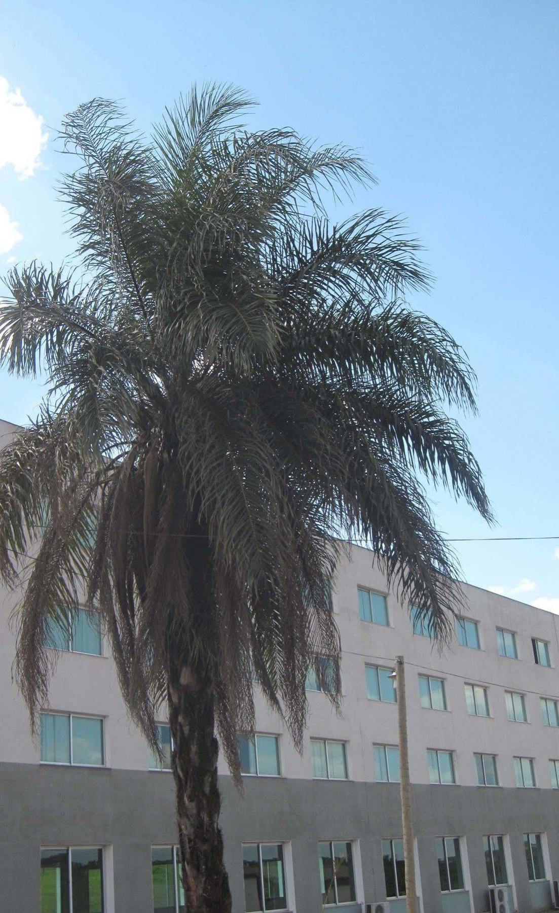 Hotel Mirante Sao Bras São Brás do Suaçuí Bagian luar foto
